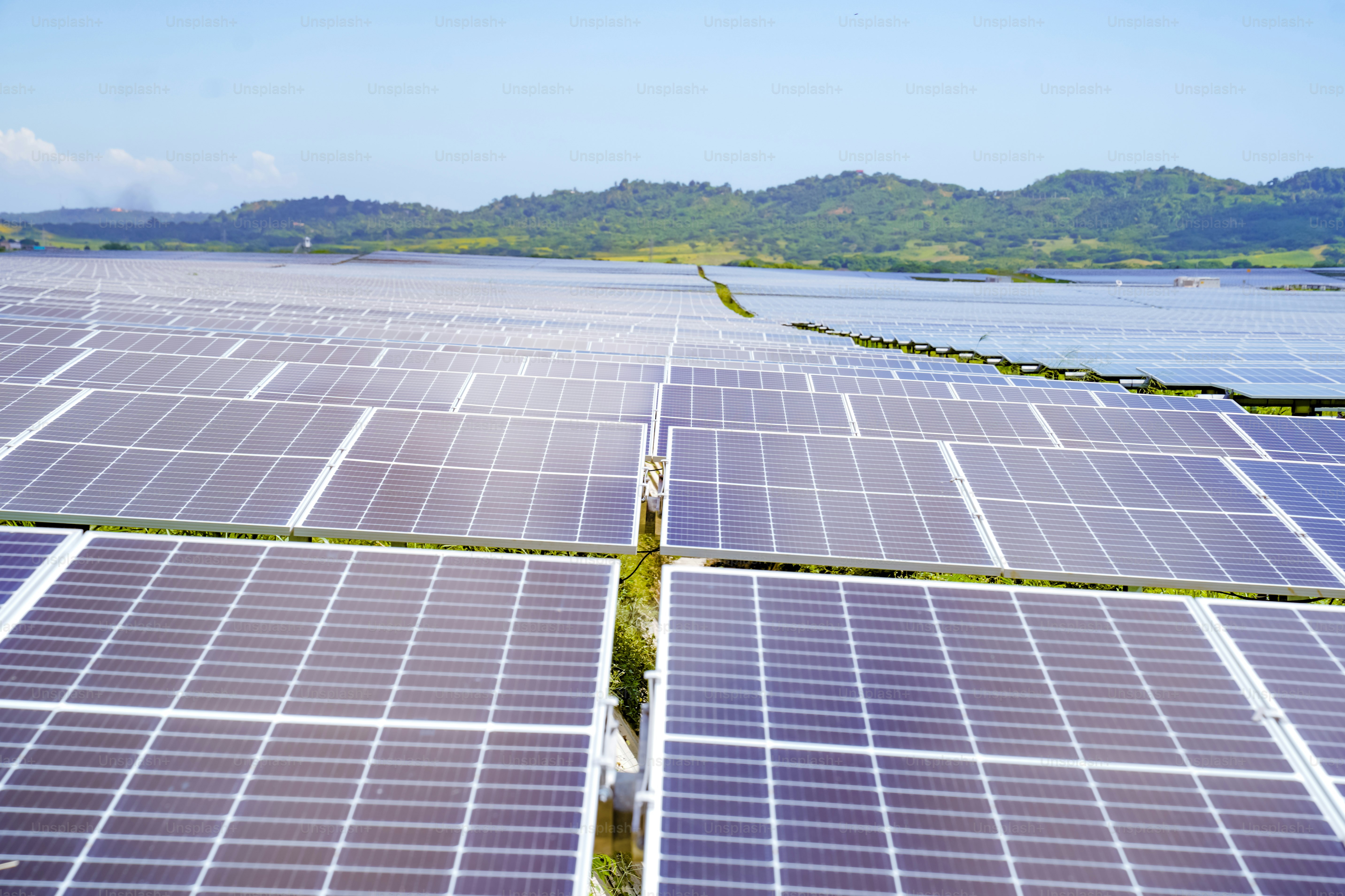 Reihen von Sonnenkollektoren auf einem Feld in der Nähe eines Gewässers