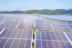 rows of solar panels in a field near a body of water