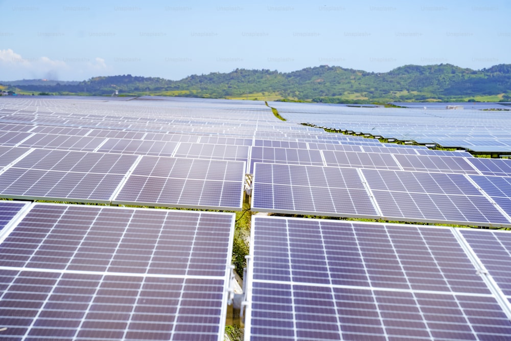 rows of solar panels in a field near a body of water