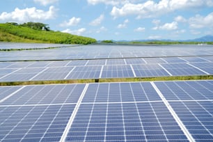 a large amount of solar panels in a field