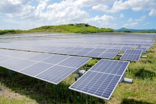 rows of solar panels in a field with mountains in the background