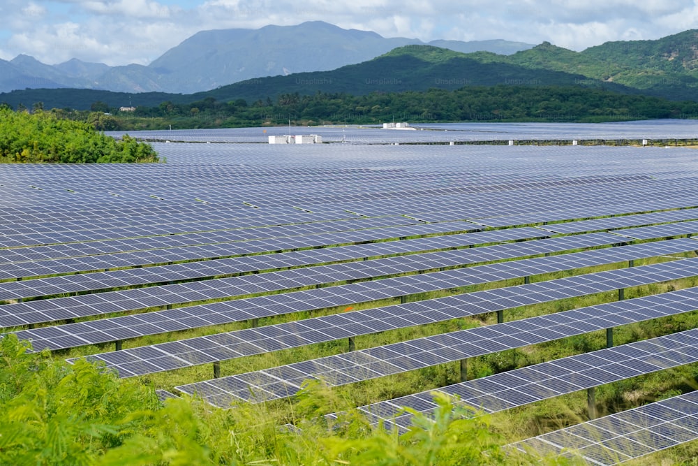 rows of solar panels in a field with mountains in the background