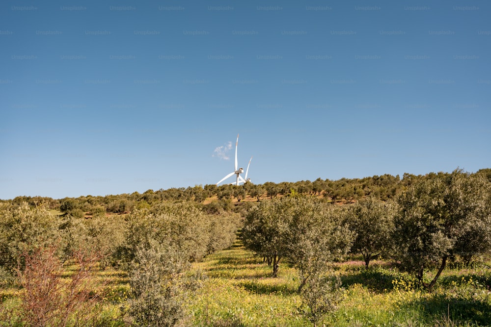 Una turbina eólica en la cima de una colina rodeada de árboles