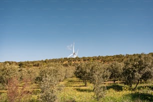 a wind turbine on top of a hill surrounded by trees