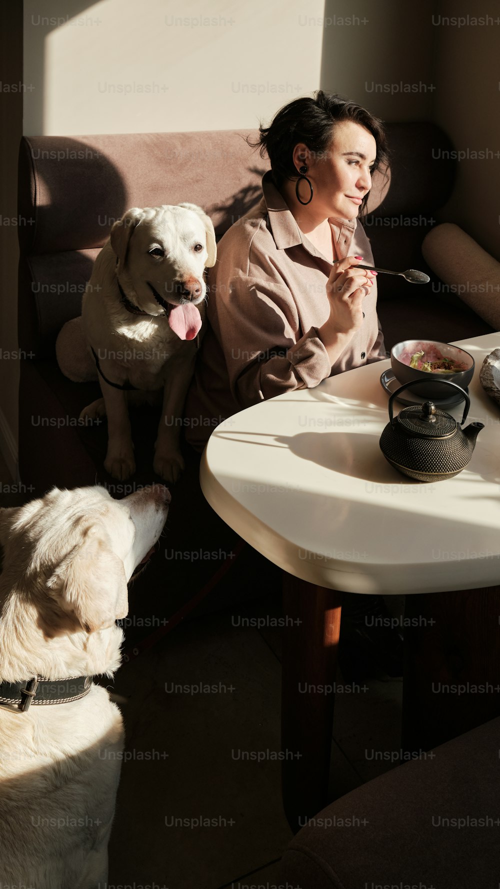 a woman sitting at a table with two dogs