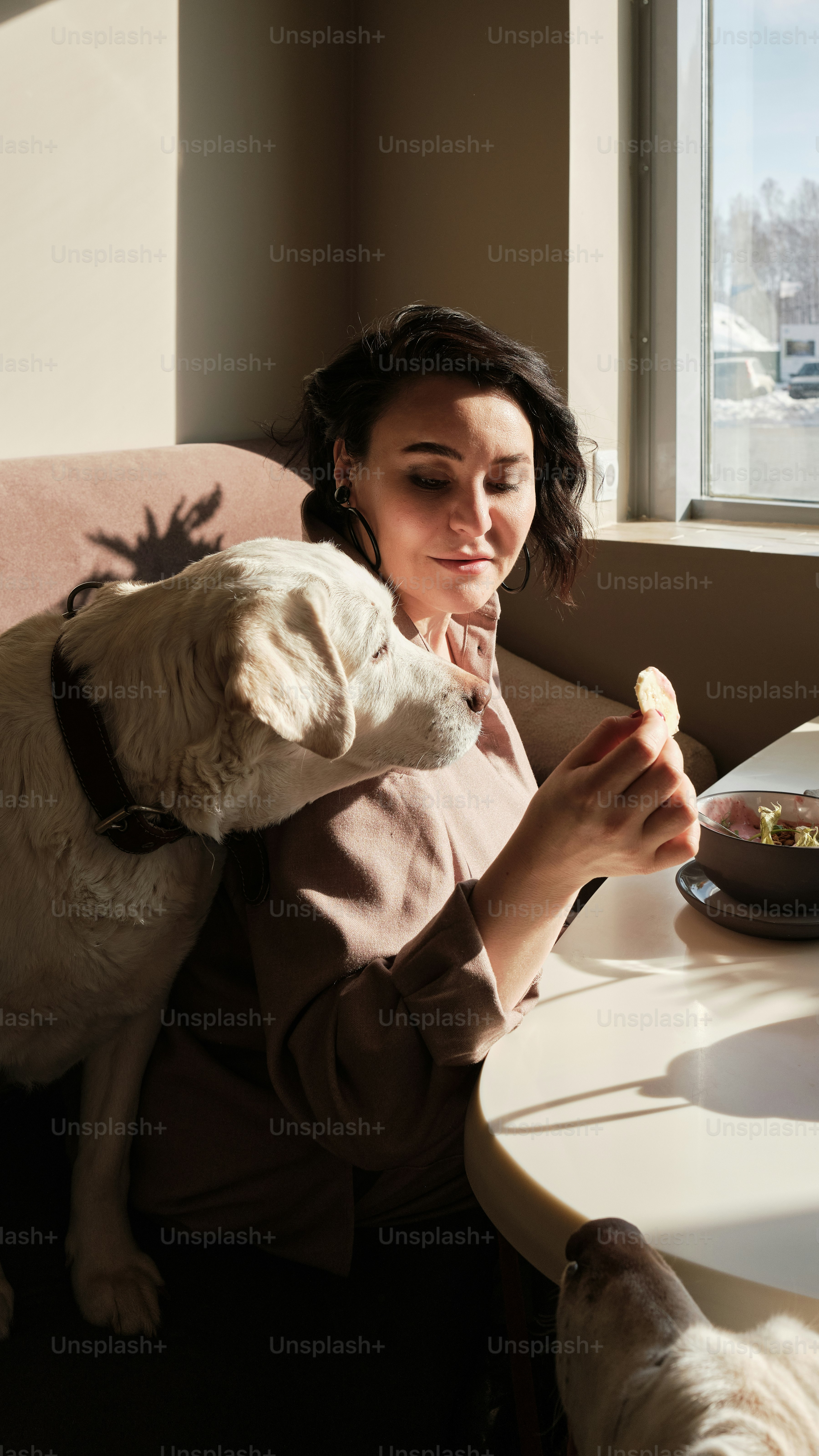 a woman sitting at a table with a dog