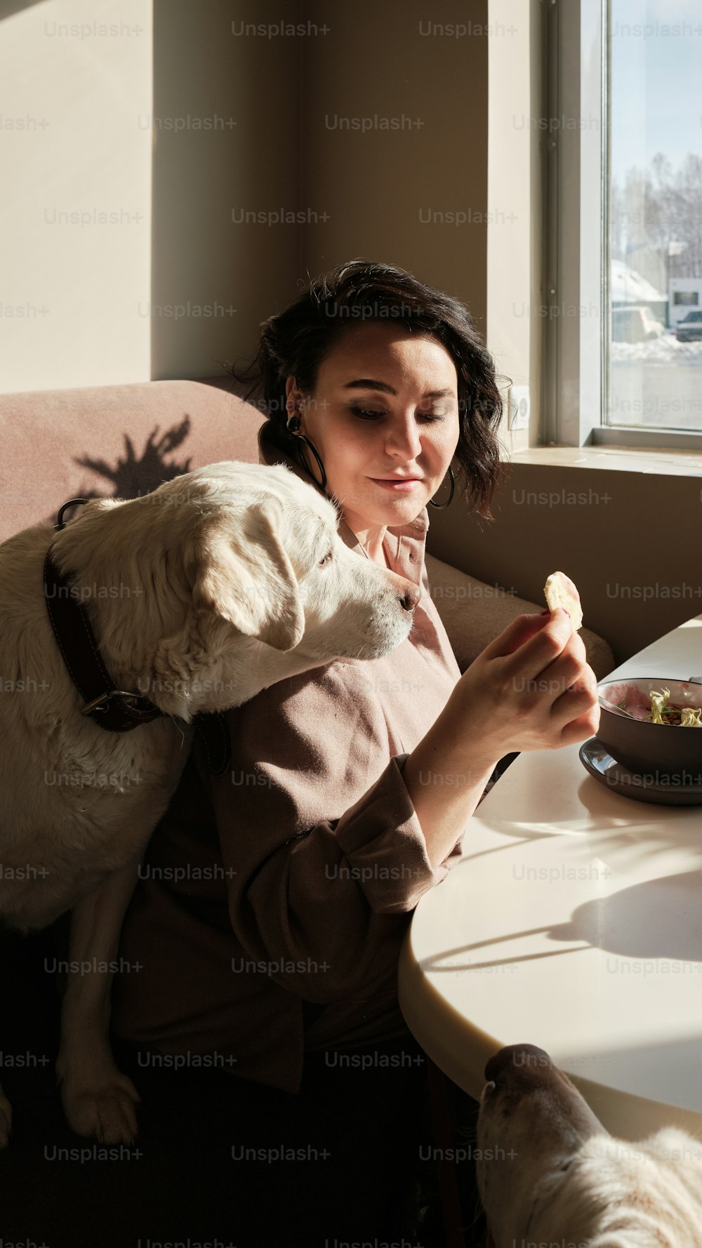 uma mulher sentada em uma mesa com um cão
