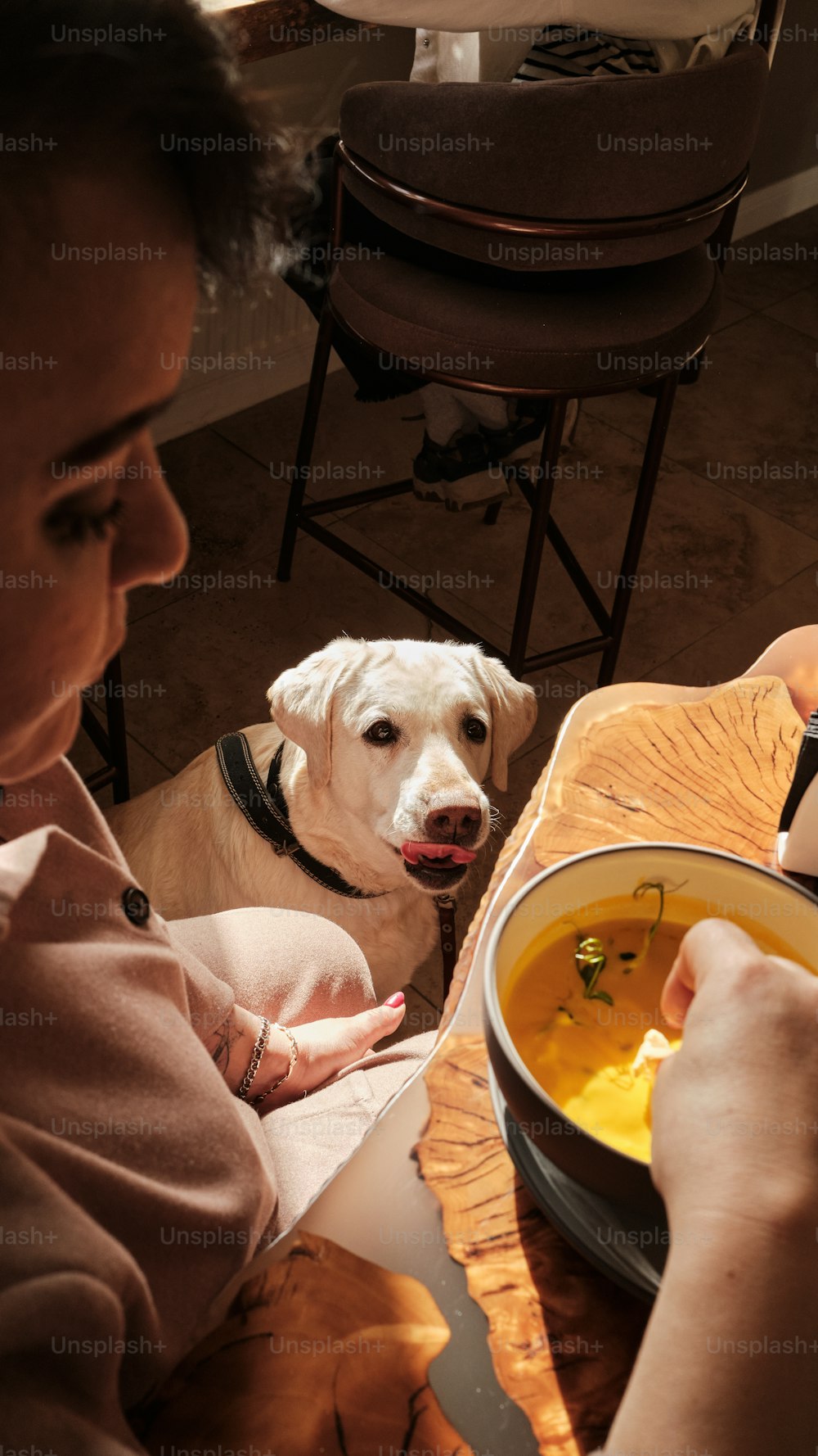 a woman sitting at a table with a bowl of soup and a dog