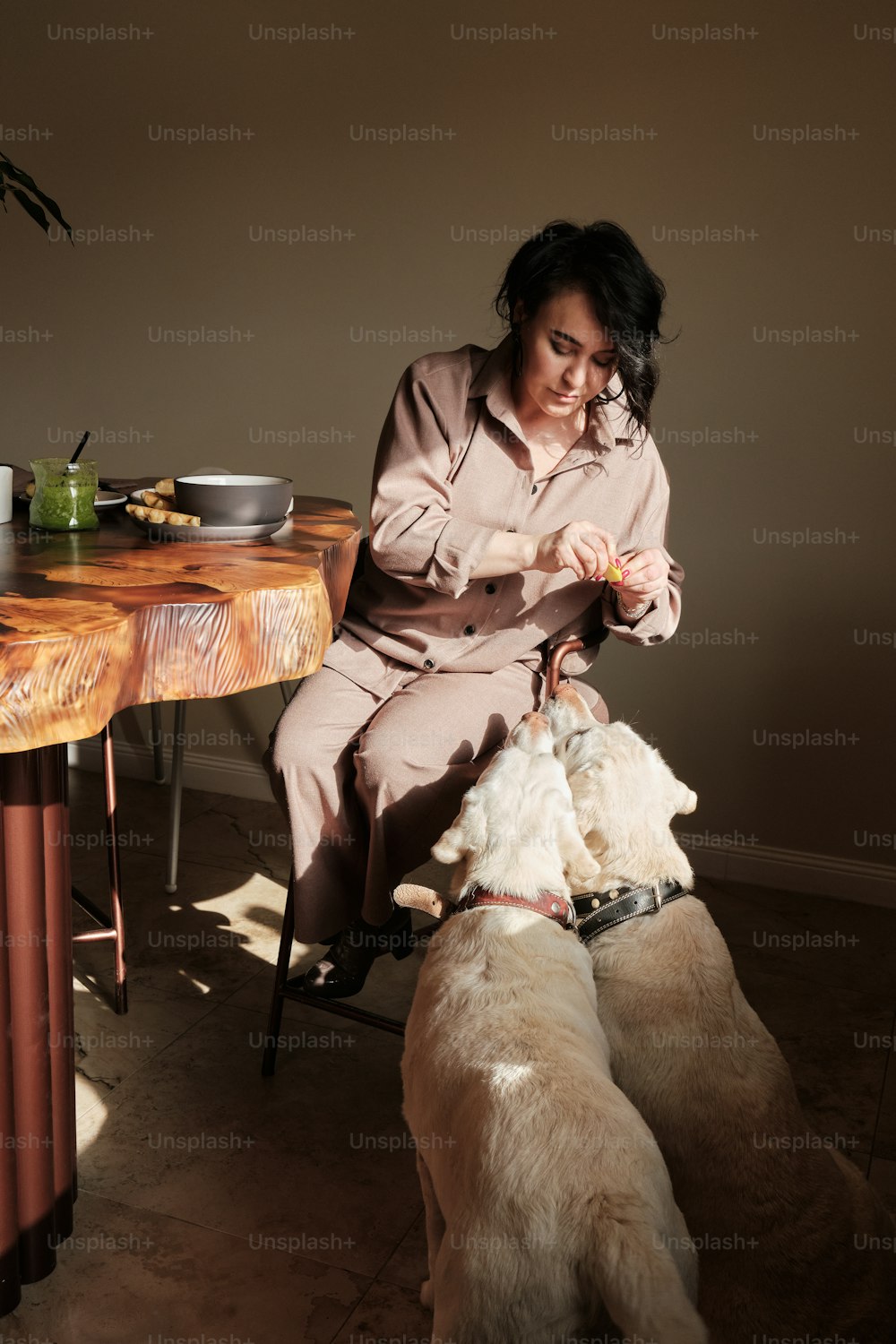Una mujer sentada en una silla con dos perros