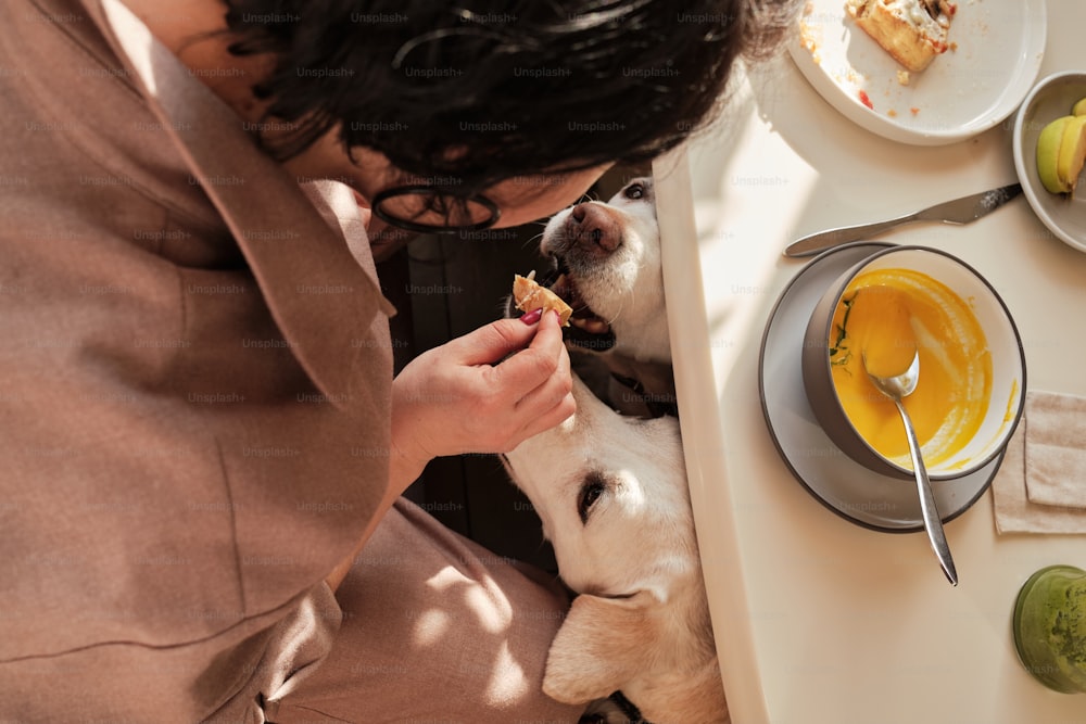 Une femme nourrit un chien avec un morceau de nourriture