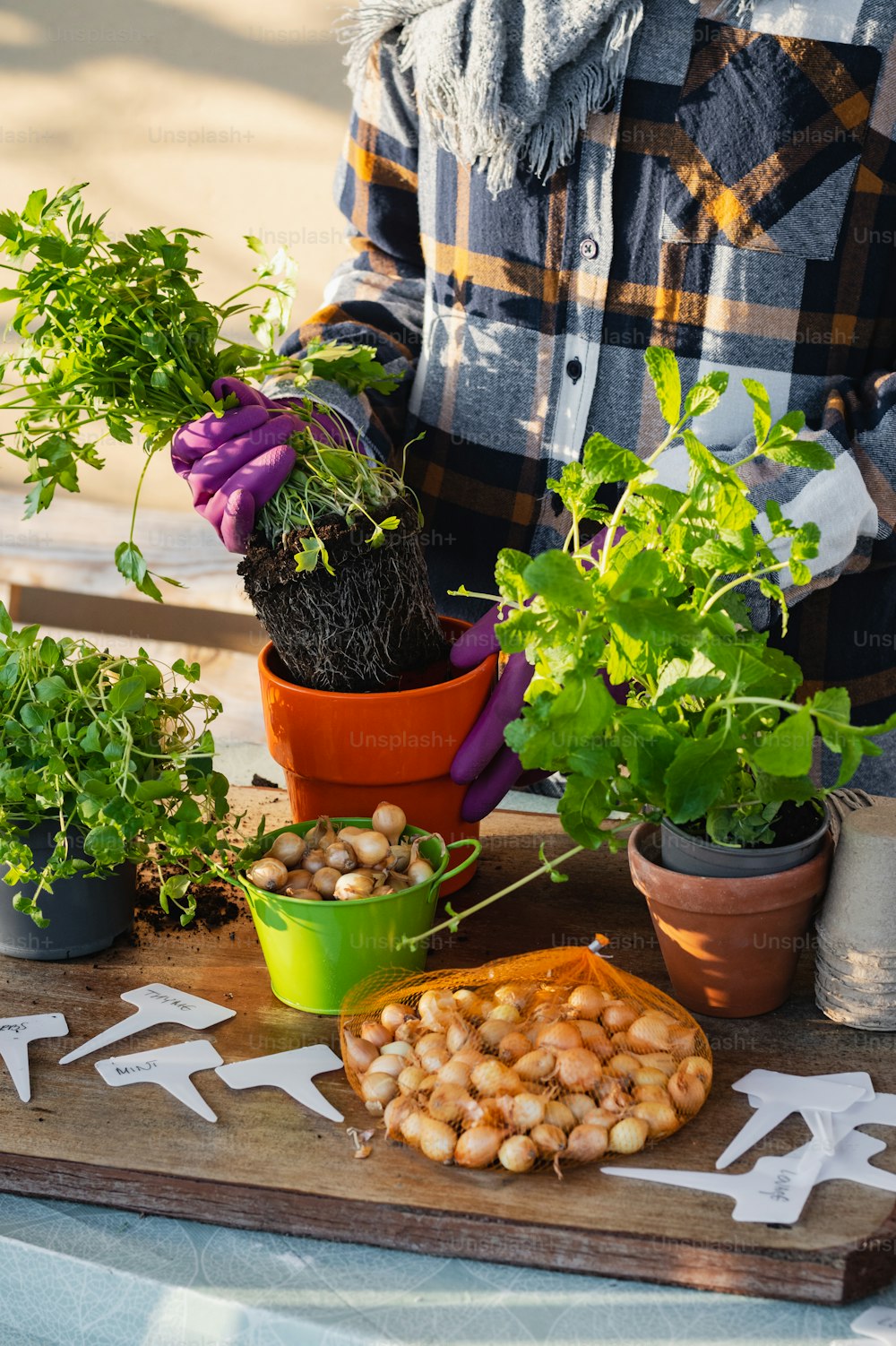 une personne debout devant une table avec des plantes en pot