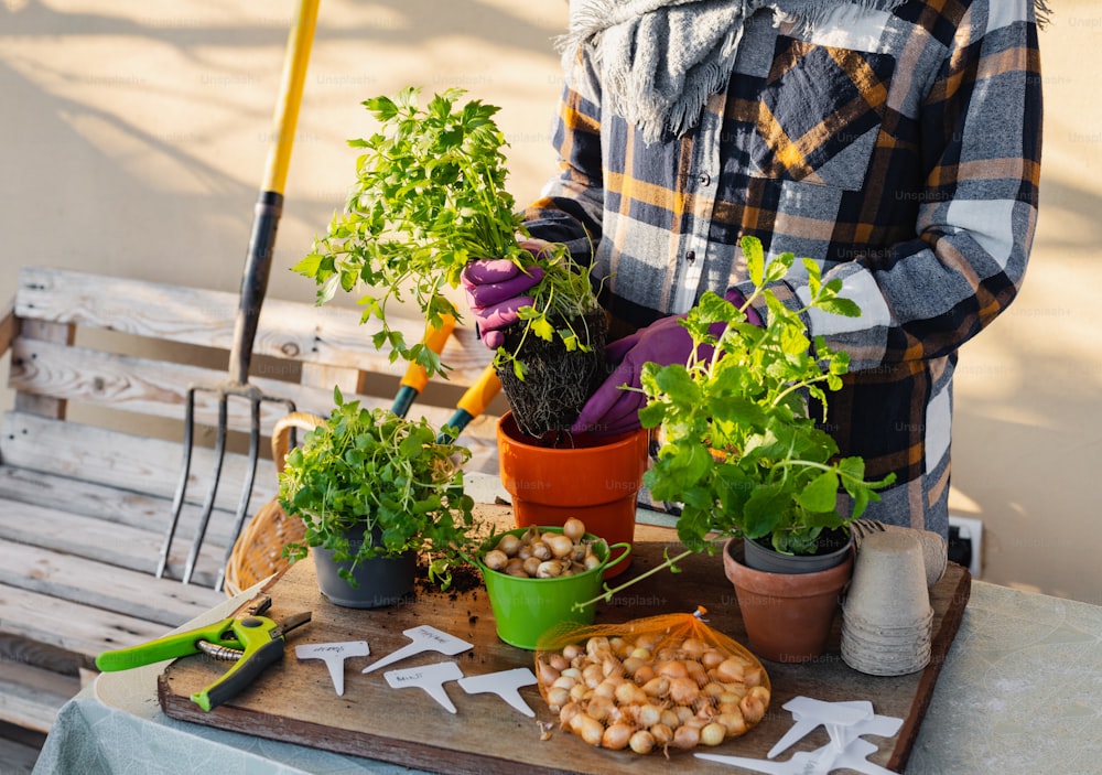 Un homme debout à côté d’une table remplie de plantes en pot
