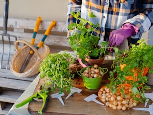 a person wearing gloves and gardening gloves tending to a potted plant