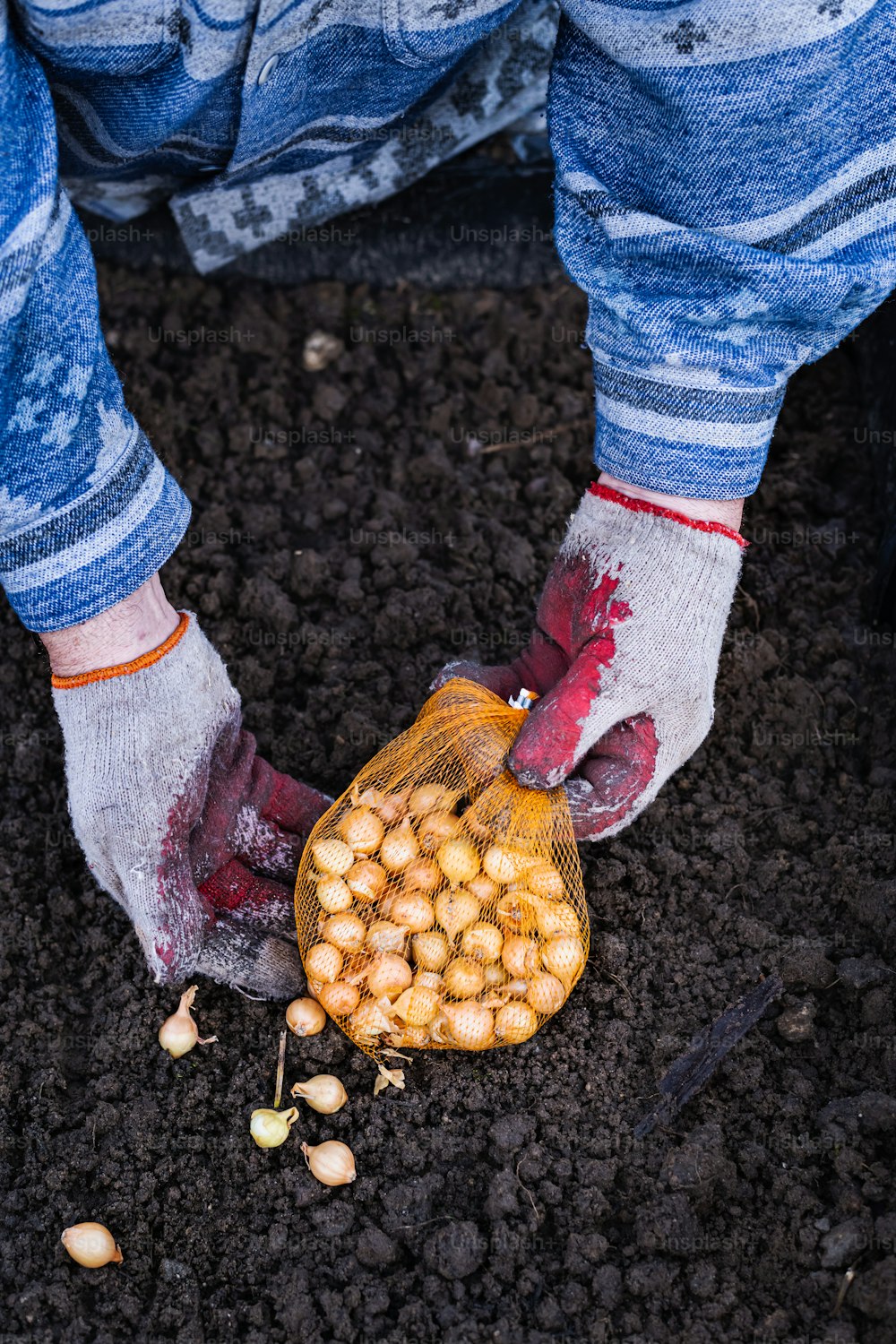 a person wearing gloves and holding a bag of peanuts