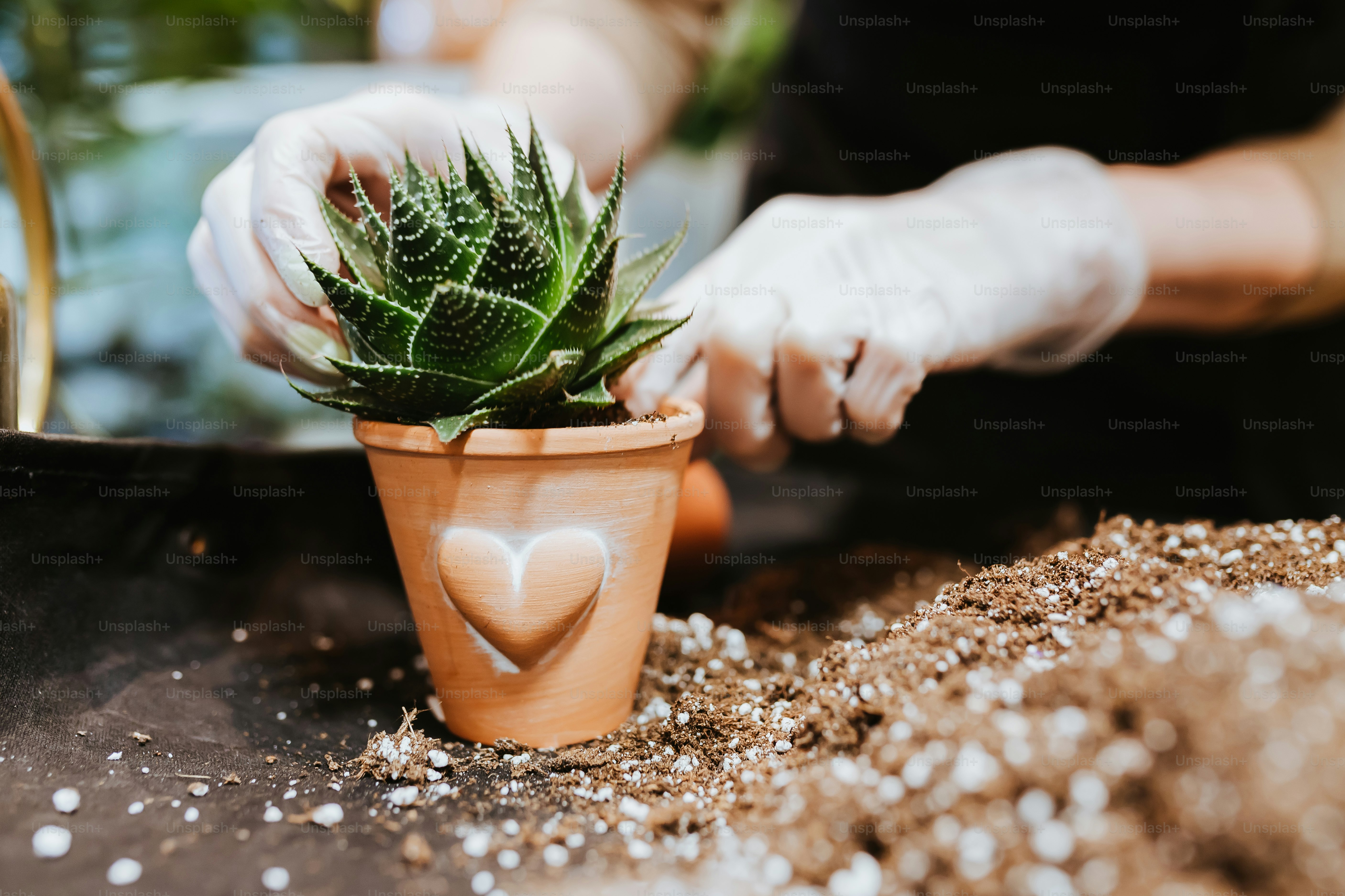 A small terracotta pot with a heart design on a garden surface