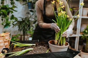 uma mulher em um avental está organizando flores em um vaso