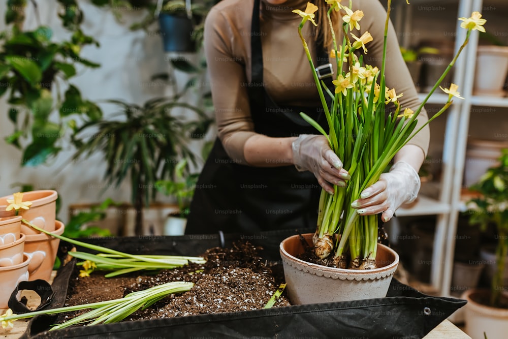 a woman in an apron is arranging flowers in a pot