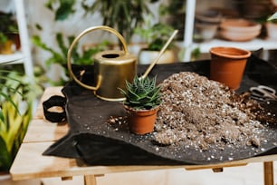 a pile of dirt sitting on top of a table next to a potted plant
