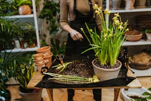 a woman standing in a room filled with potted plants