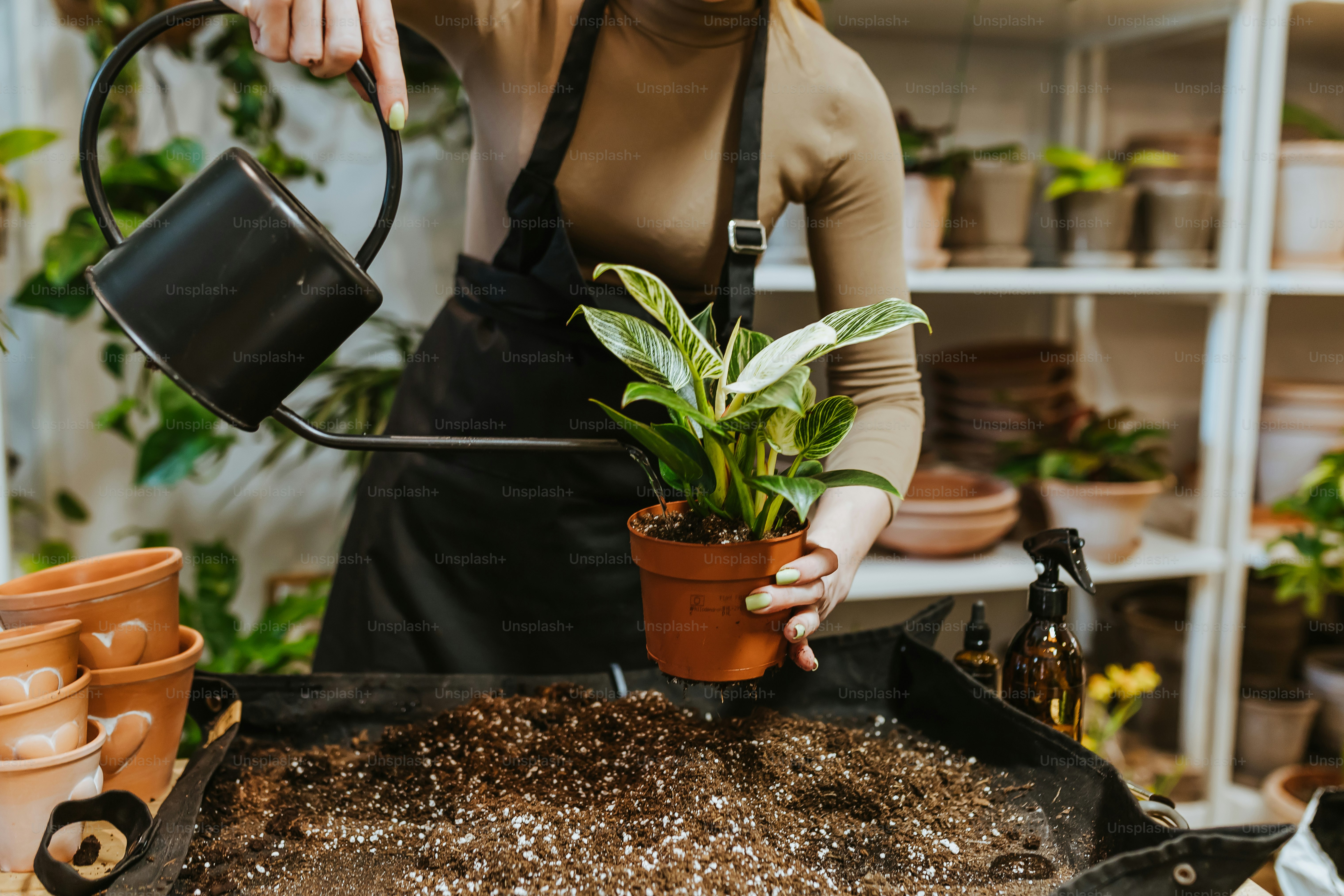 a woman watering a potted plant with a watering hose