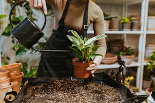 a woman watering a potted plant with a watering hose