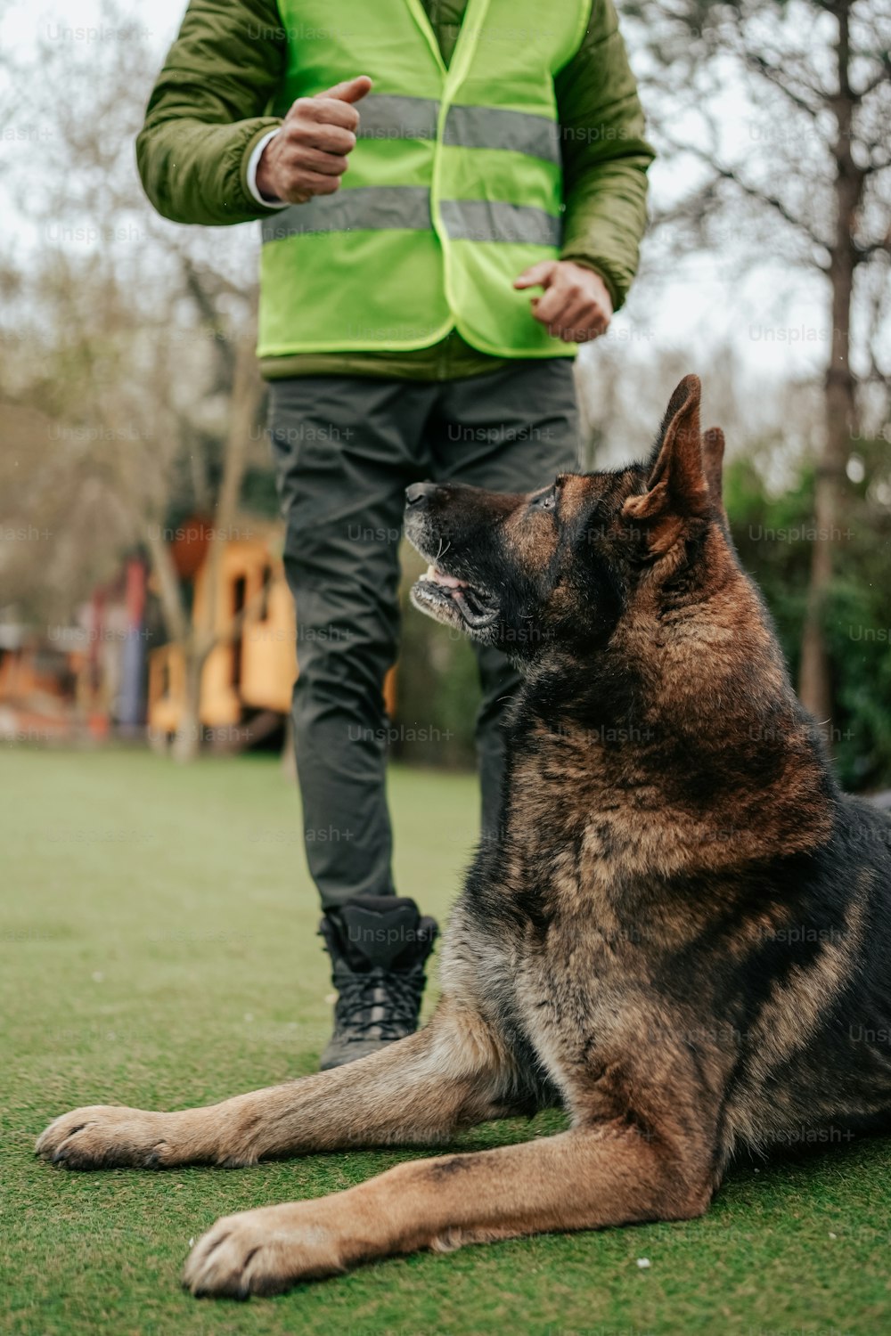 a man in a safety vest standing next to a dog