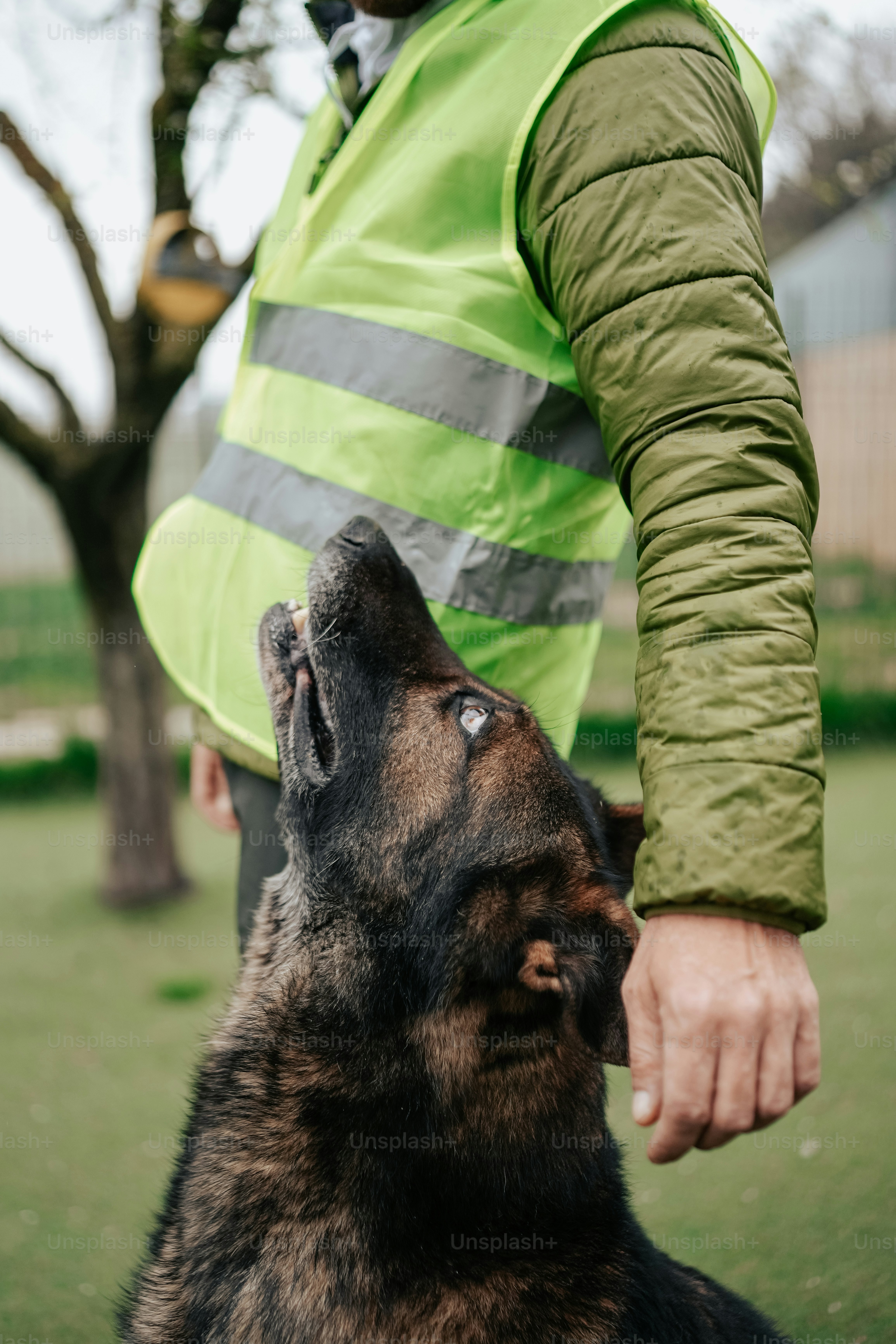 um homem em um colete de segurança está acariciando um cão