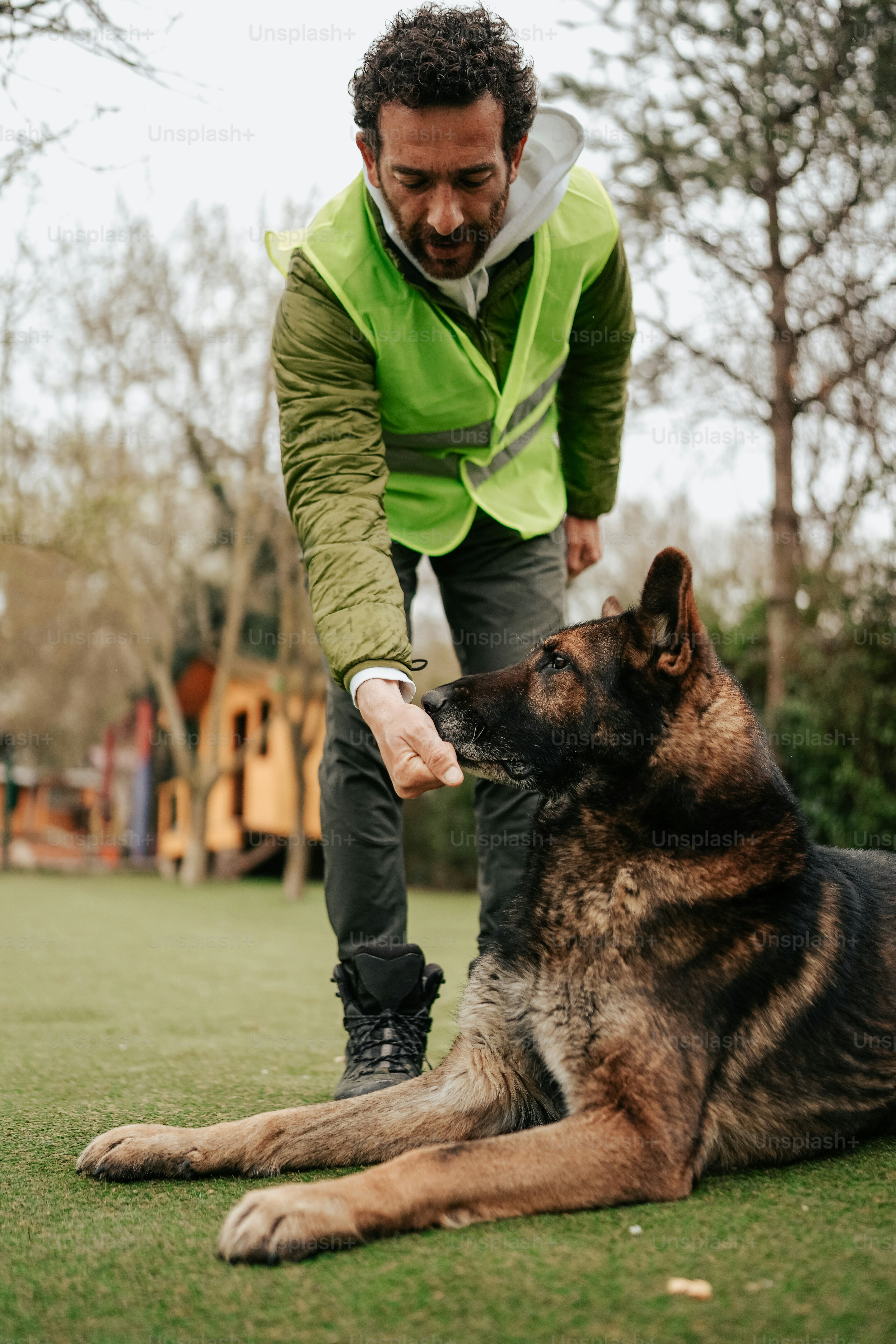 a man petting a dog on the grass