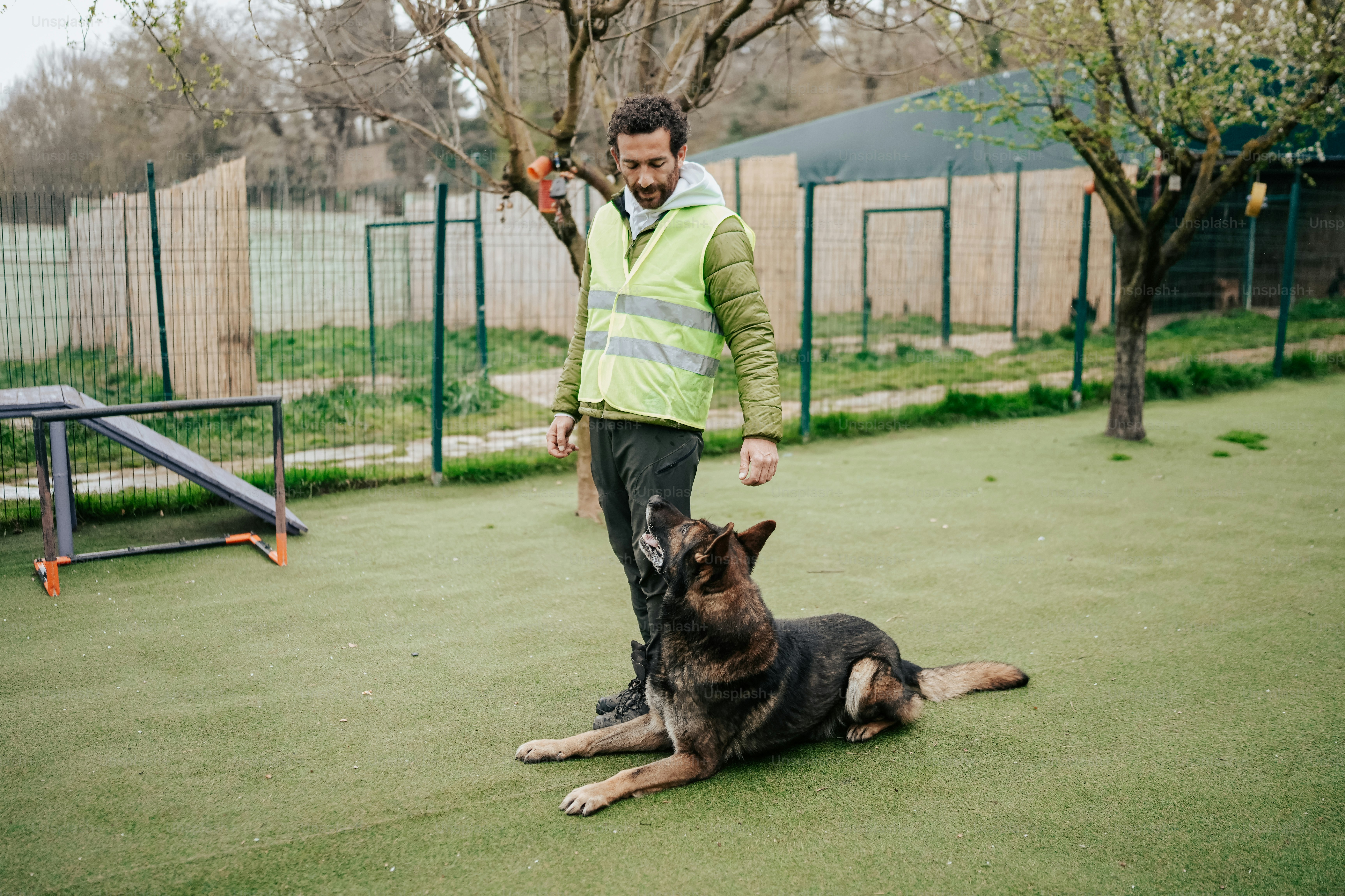 a man standing next to a dog on top of a green field