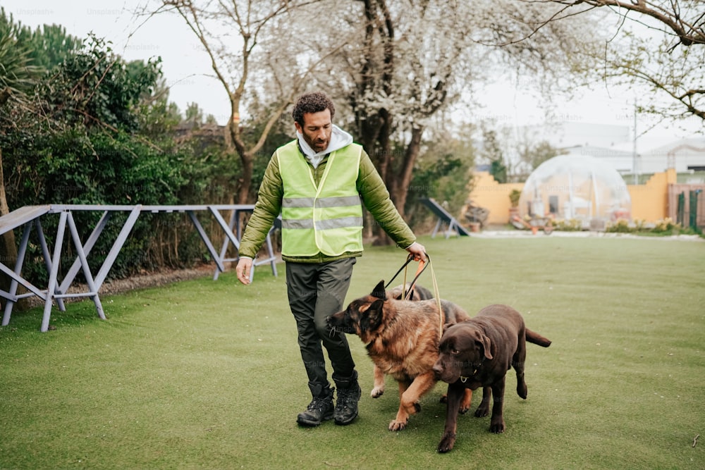 a man walking two dogs on a leash