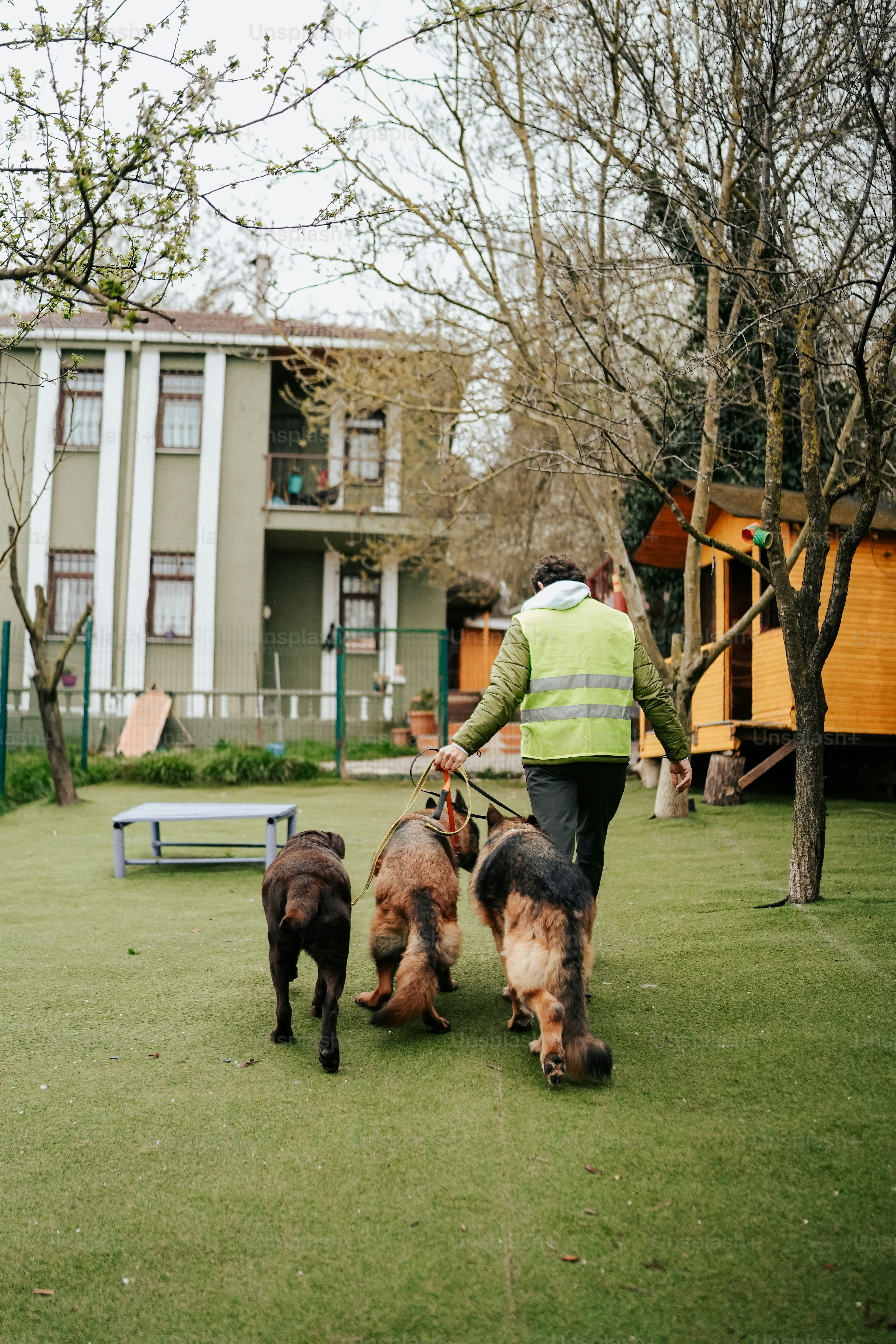 Un uomo che porta a spasso due cani al guinzaglio