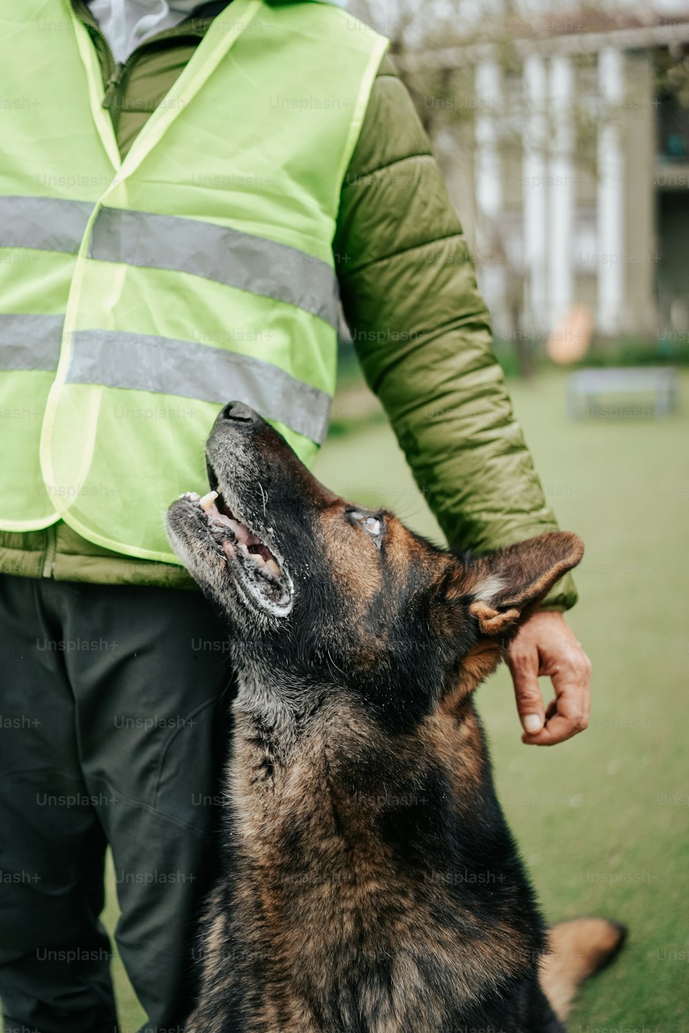 a man in a green vest is petting a black and brown dog