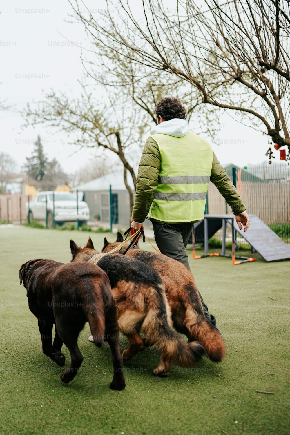 a man walking two dogs on a leash