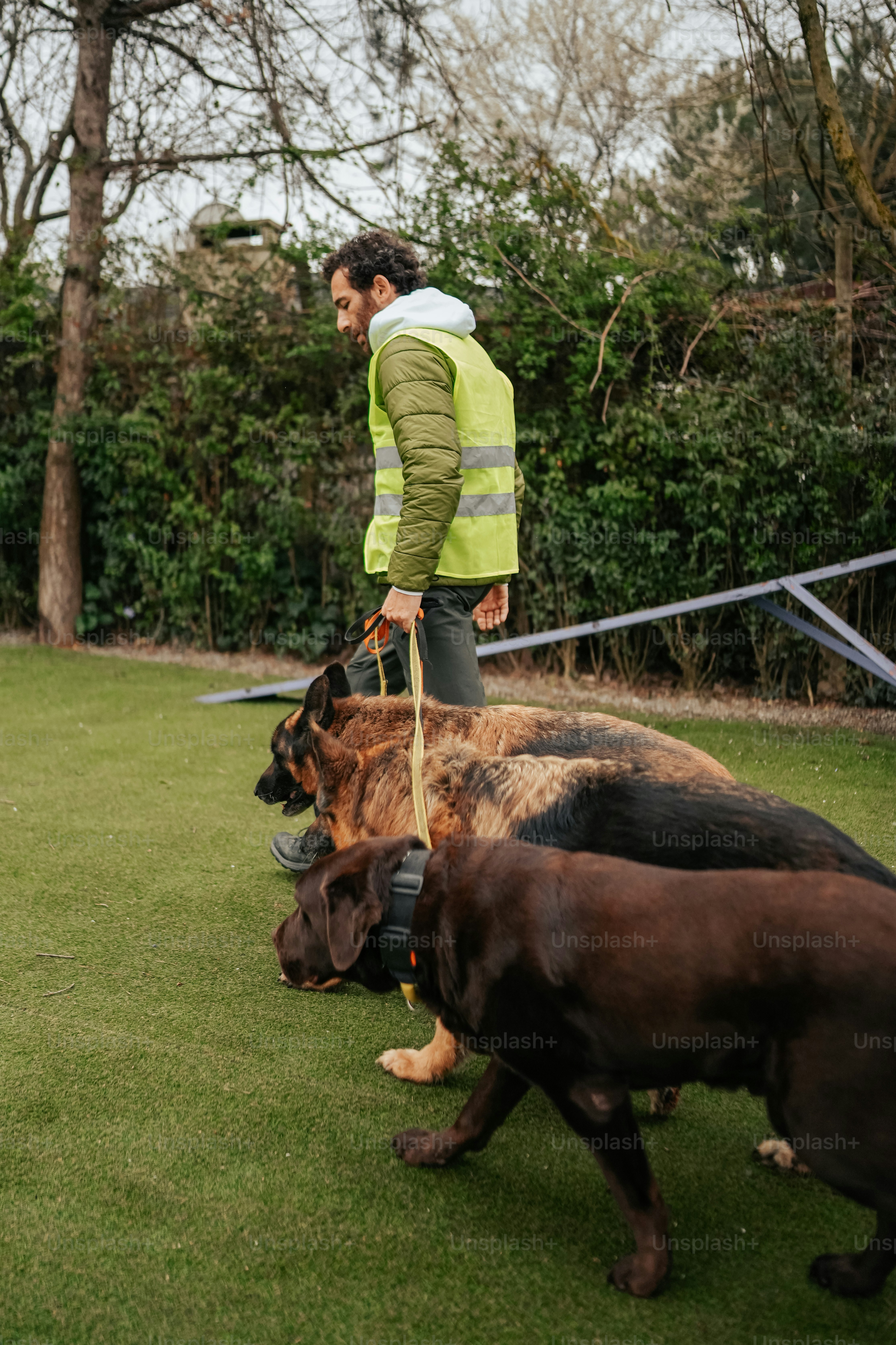 a man is walking his dogs on a leash