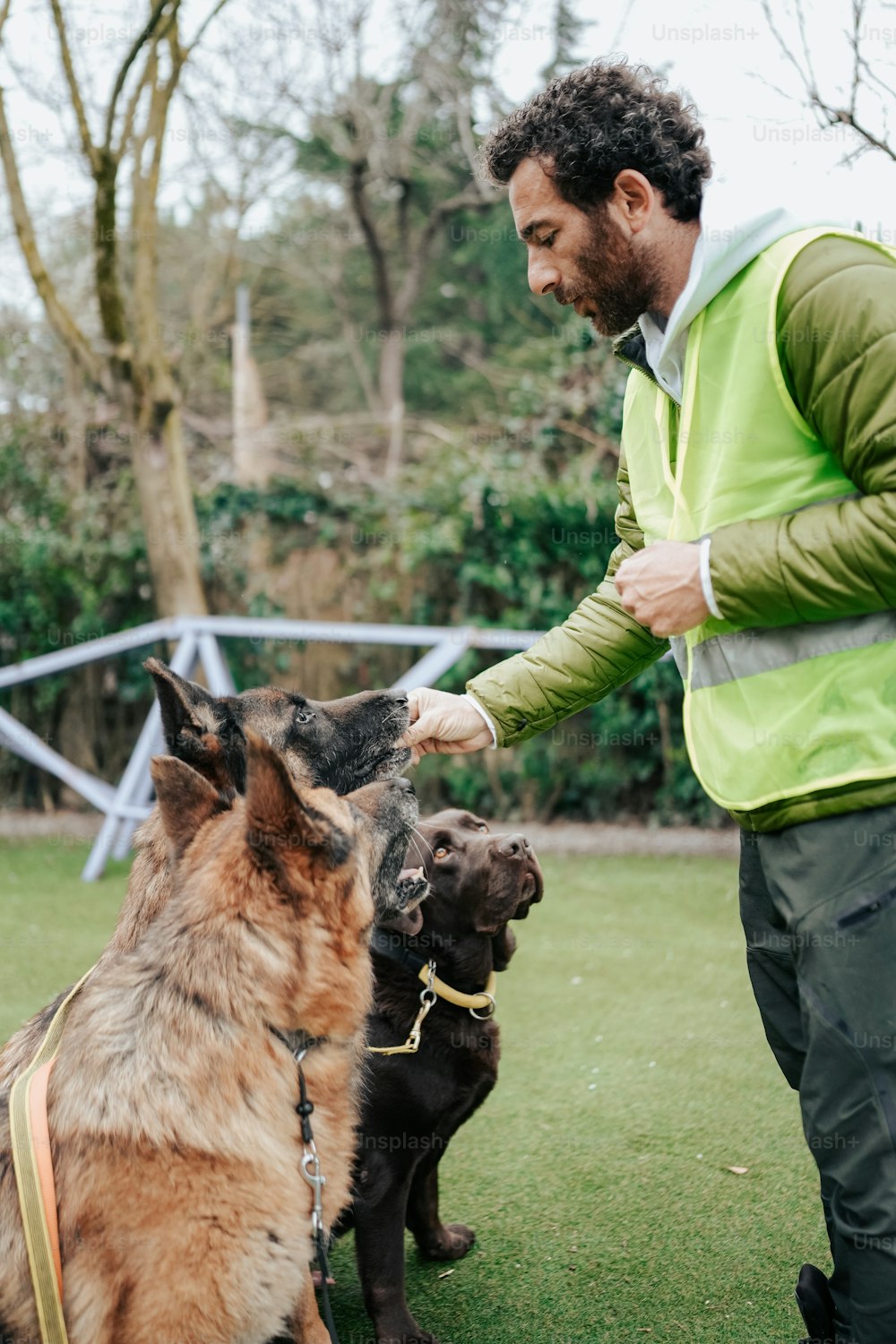 a man petting two dogs on a leash