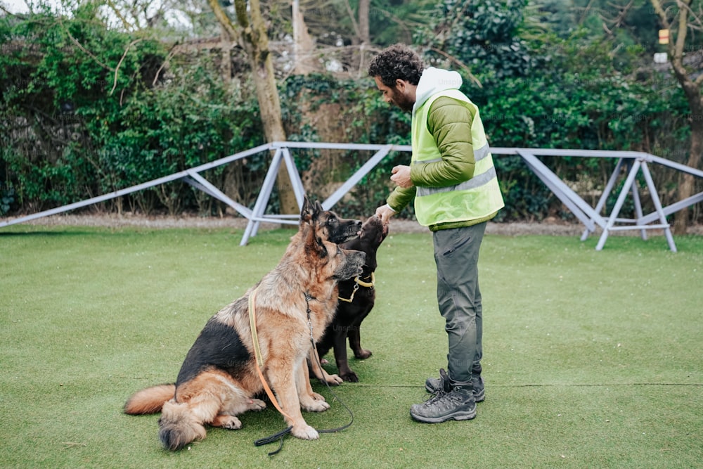 a man standing next to two dogs on a field