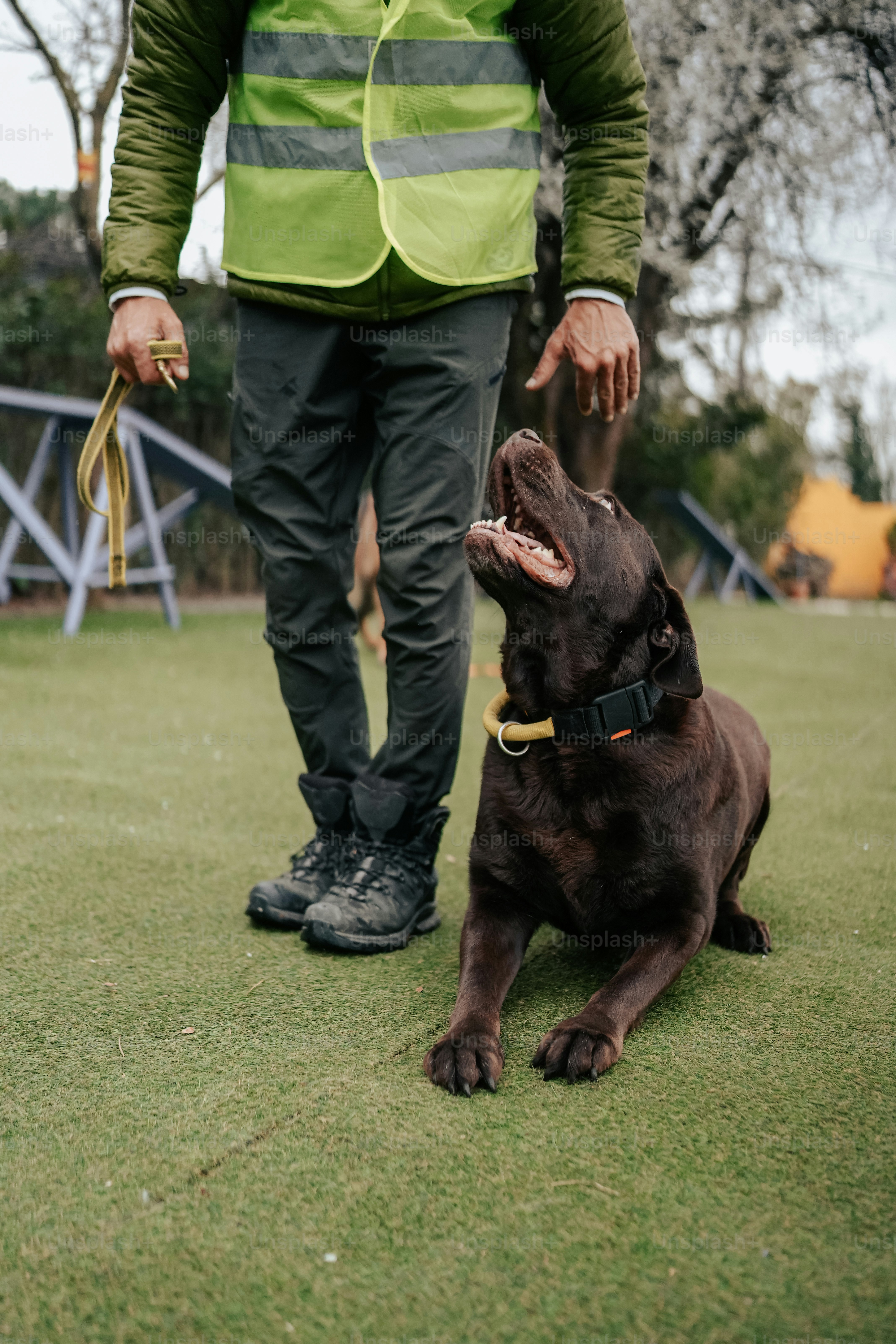 a man walking a dog on a leash