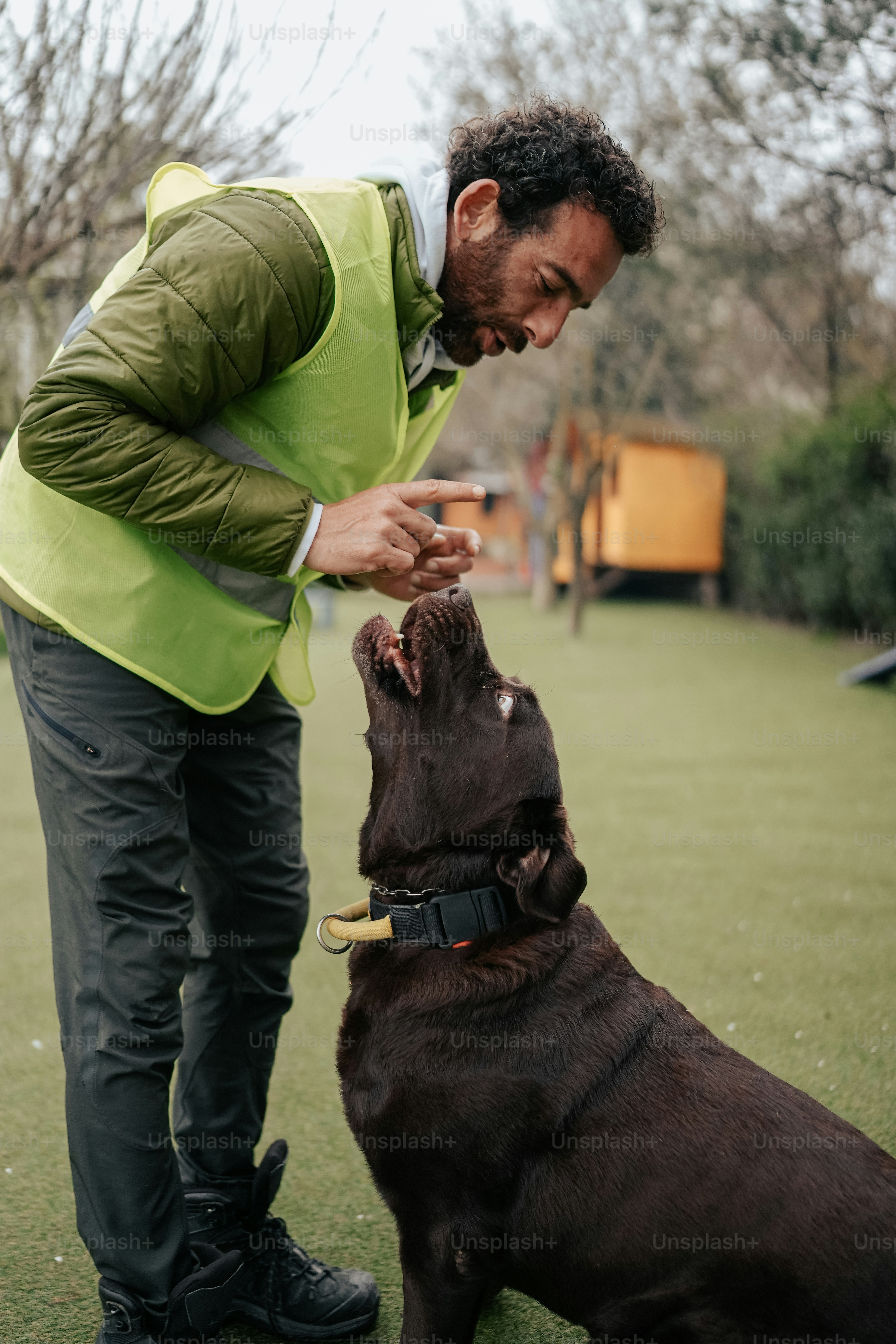 a man standing next to a brown dog on top of a lush green field