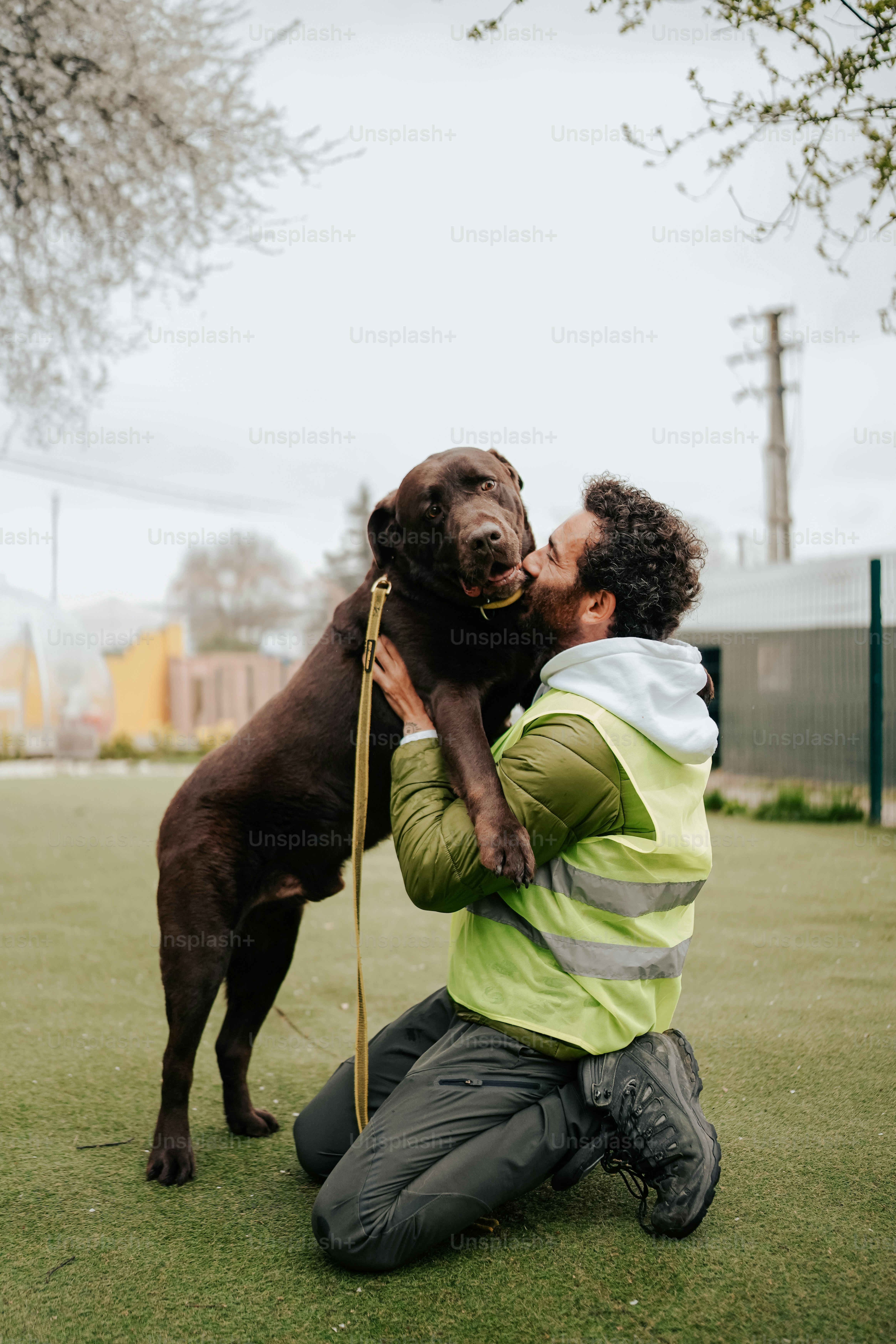 a man kneeling down next to a brown dog