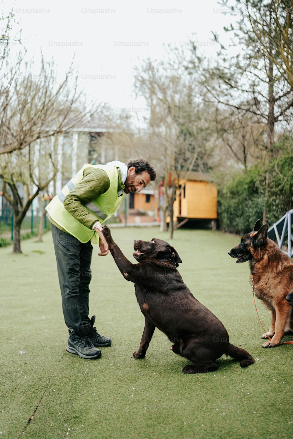 a man petting two dogs in a park