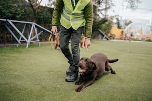 a man in a vest and tie walking a brown dog