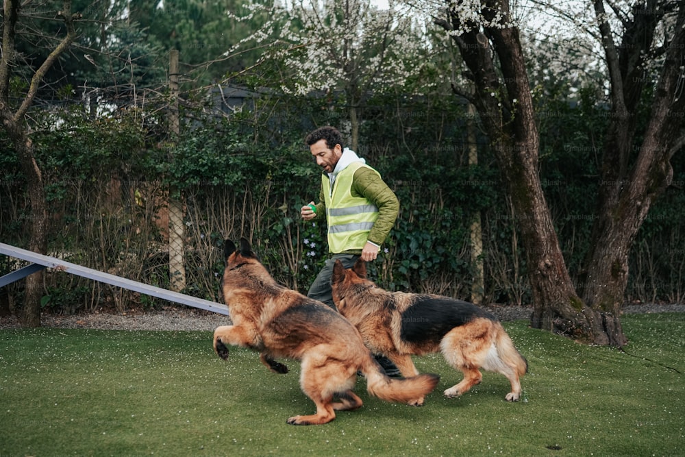 a man walking two dogs in a yard