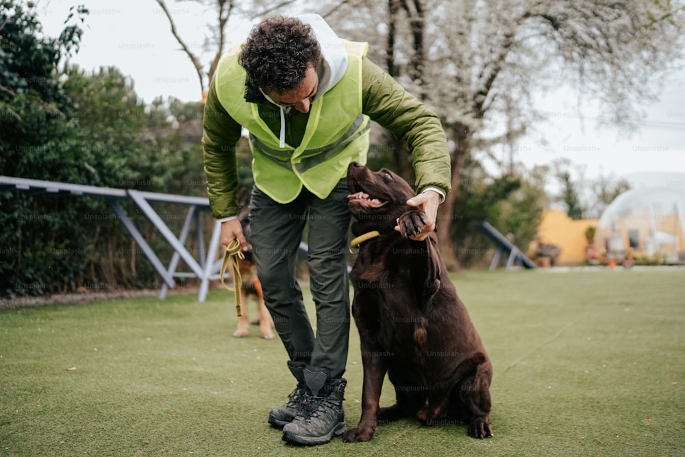 Un hombre acariciando a un perro marrón en la cima de un exuberante campo verde