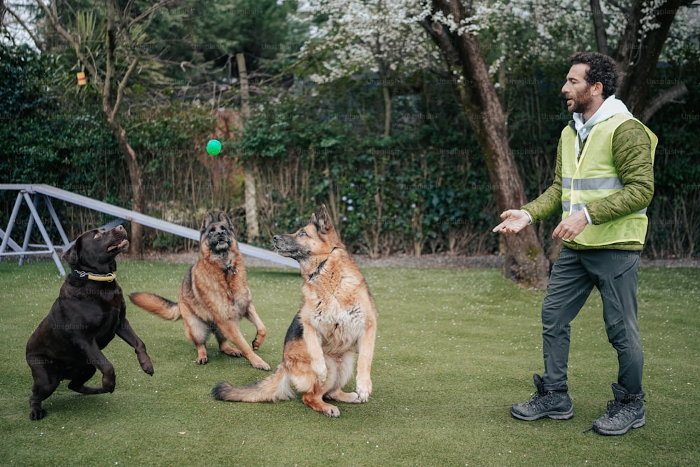 a man playing frisbee with three dogs in a yard