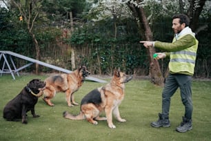 a man standing in the grass with three dogs