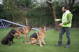 Un hombre jugando frisbee con tres perros en un patio