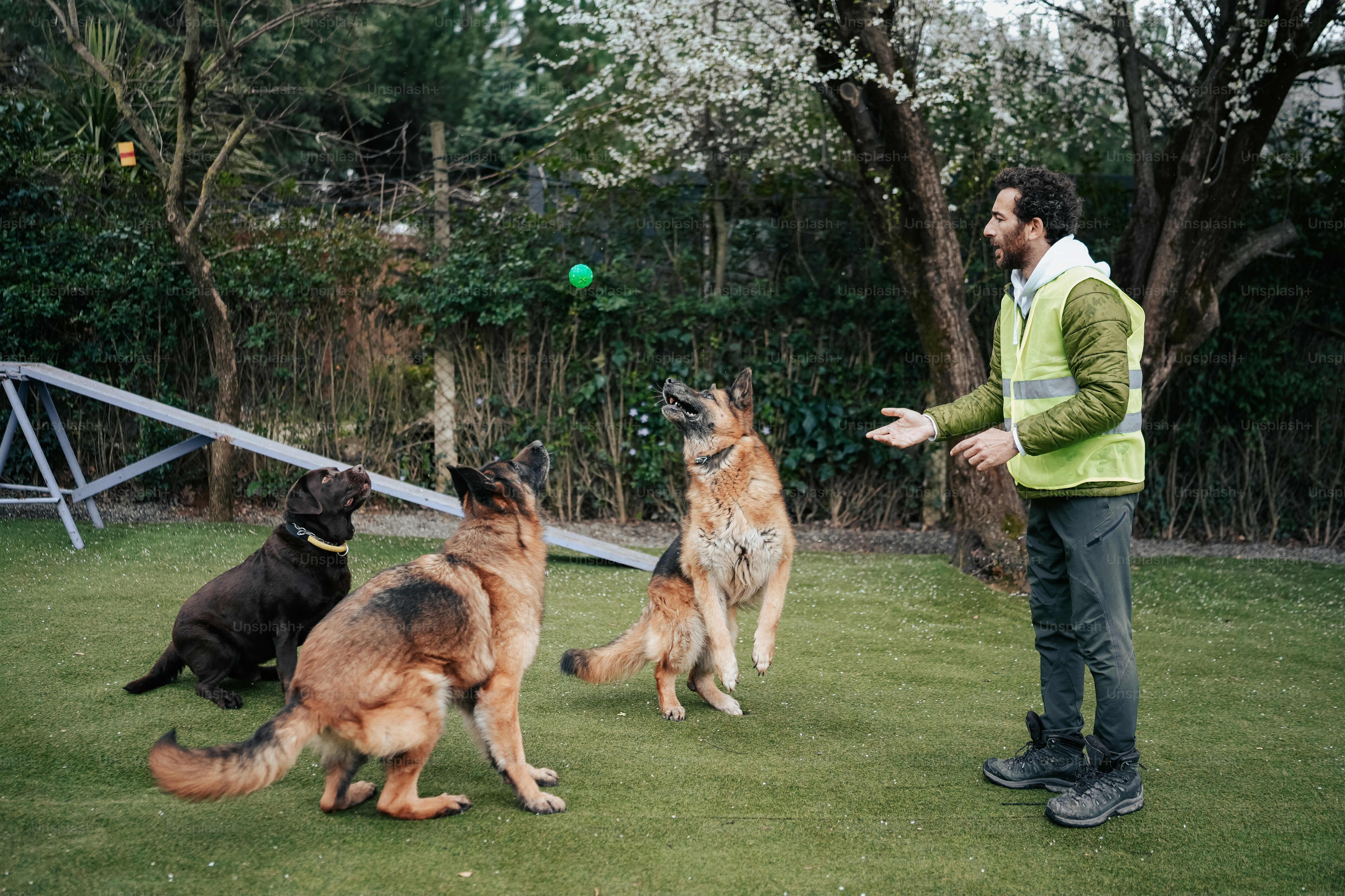 a man standing in the grass with three dogs