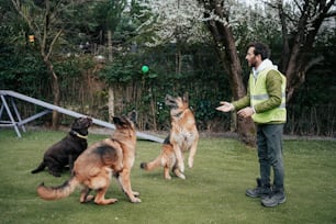 Un uomo in piedi nell'erba con tre cani