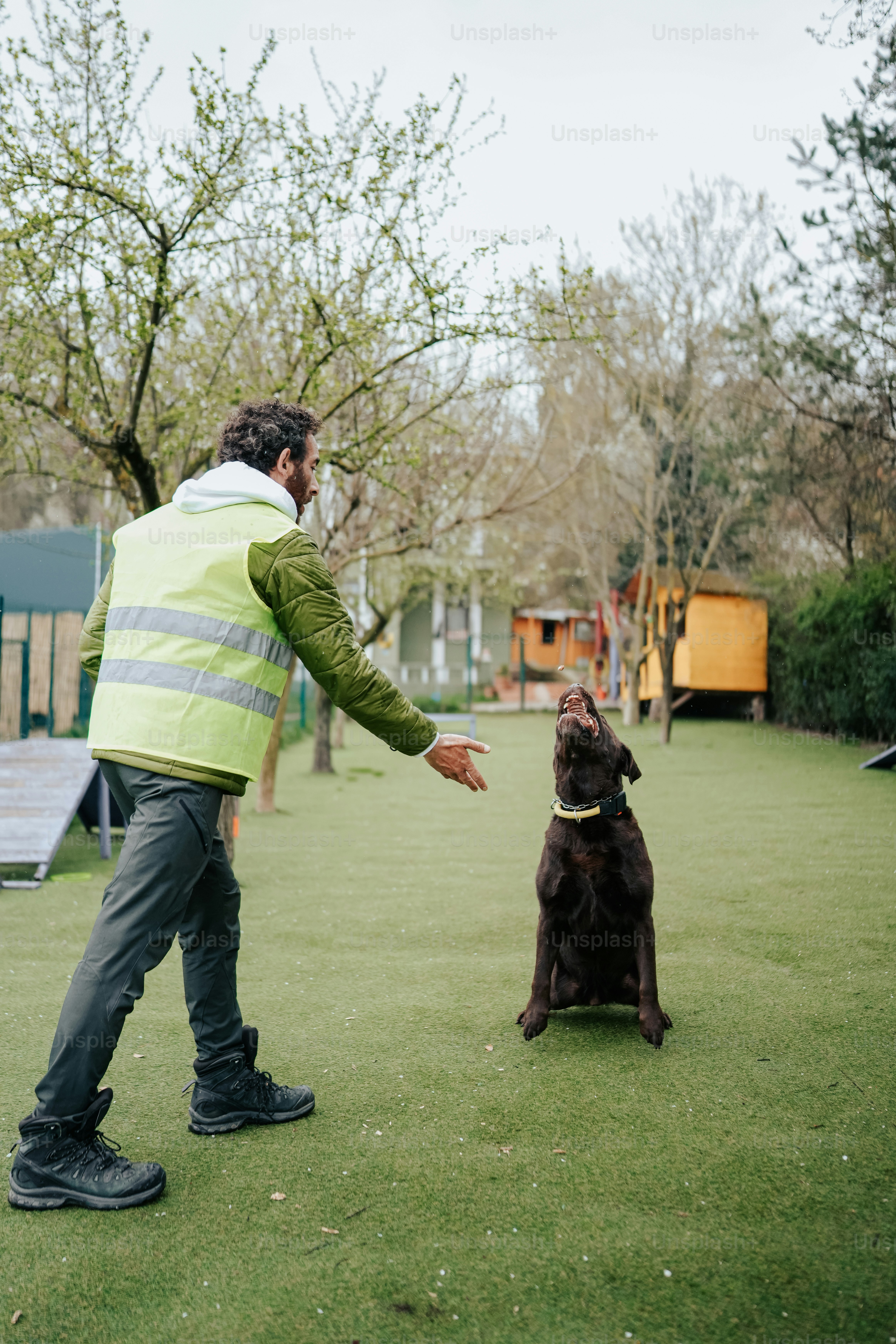 um homem em um colete amarelo está brincando com um cão