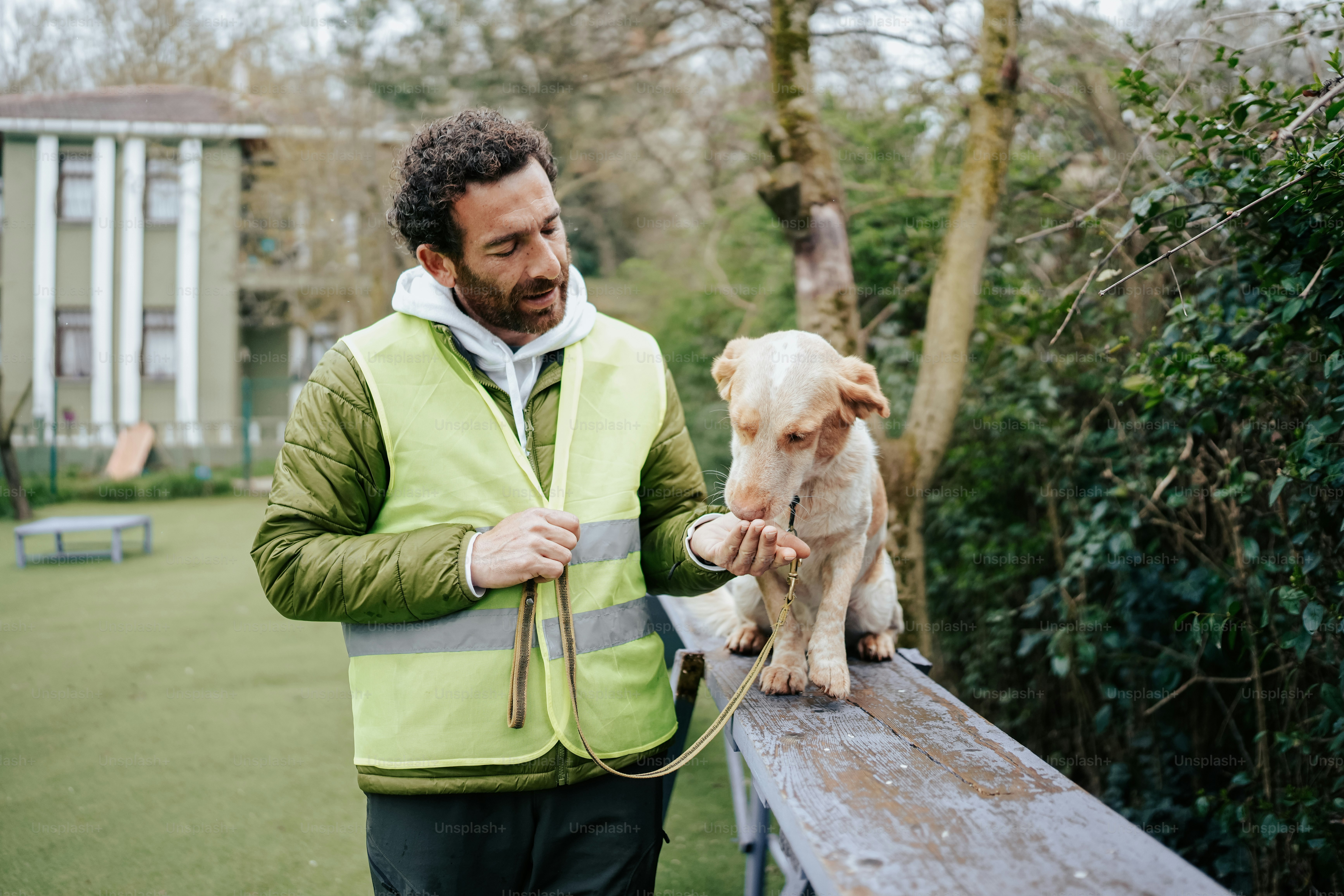 a man is petting a dog on a leash